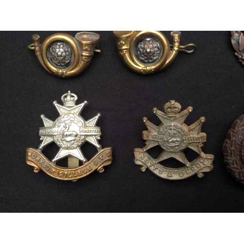 122 - WW2 British cap badges, collar dogs, rank pips, etc plus some additional WW1: Notts & Derby Regt Wor... 