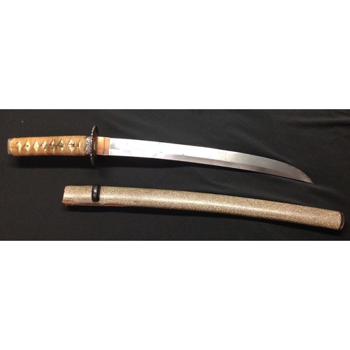 151 - WW2 Imperial Japanese era Wakizashi Sword with single edged blade 39cm in length. No Hamon line visi... 