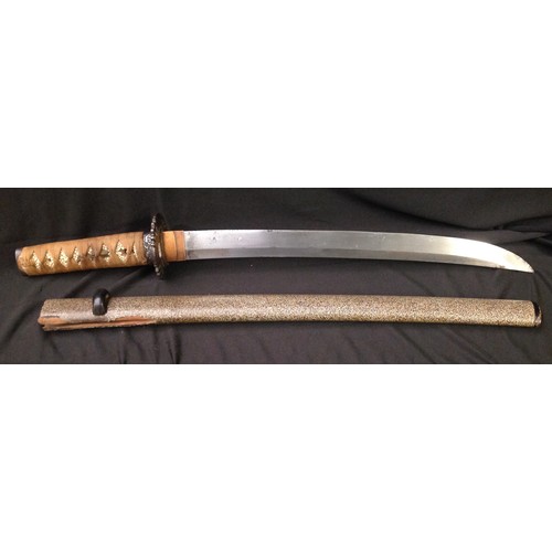 151 - WW2 Imperial Japanese era Wakizashi Sword with single edged blade 39cm in length. No Hamon line visi... 