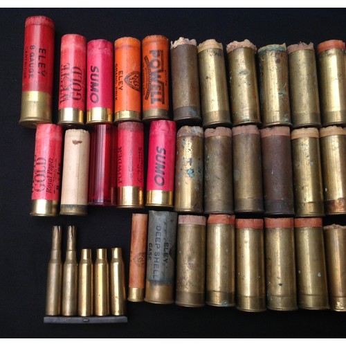 194 - A collection of Brass 12 Bore Shotgun Cartridges, all are INERT & FFE and contain no shot. The major... 