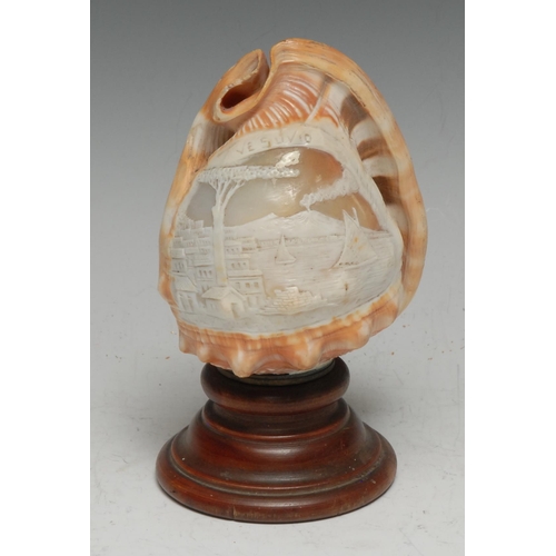 3359 - An Italian cameo conch shell, carved in the Grand Tour taste with a named view of Vesuvius  [Vesuvio... 