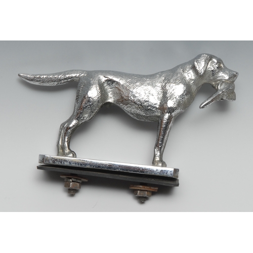 3377 - Automobilia - a chrome car mascot, cast as a retriever dog, he stands, holding a game bird, 16.5cm l... 