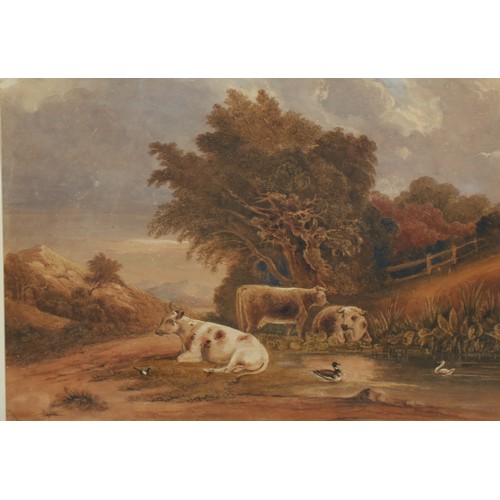 547 - W Graham  
Cattle Resting near Duck Pond  
signed, watercolour, 39cm x 55cm