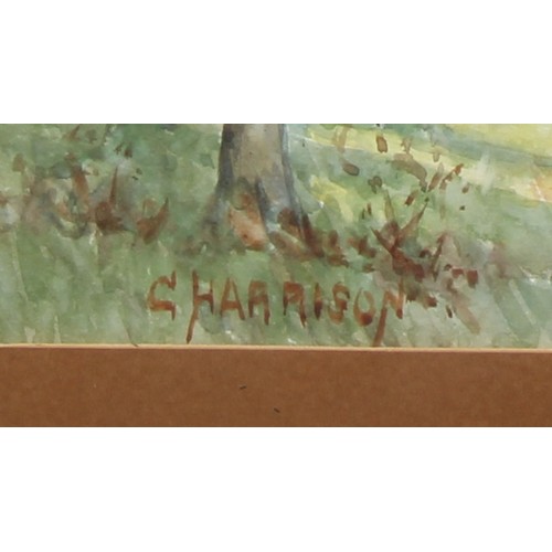 550 - G Harrison
A Pair, Country Walks
signed, watercolurs