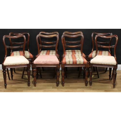 111 - A set of eight William IV rosewood dining chairs, drop-in seats, lotus capped tapered cylindrical fo... 