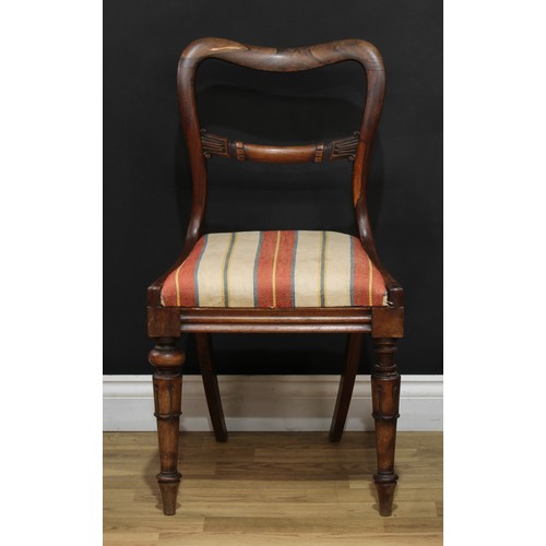 111 - A set of eight William IV rosewood dining chairs, drop-in seats, lotus capped tapered cylindrical fo... 