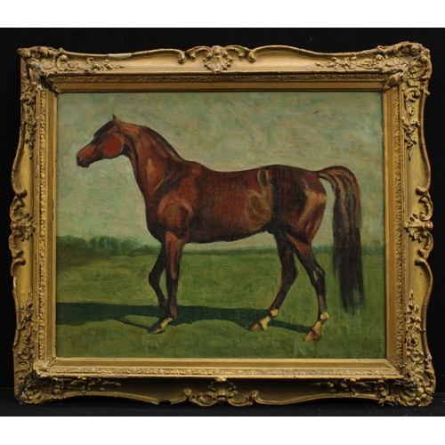 889 - English School (20th century)
Study of a Thoroughbred Racehorse
oil on canvas, 45cm x 55cm