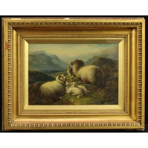 822 - Charles Edward Watson (active late 19th/early 20th century)
Highland Sheep
signed, dated 189*, oil o... 