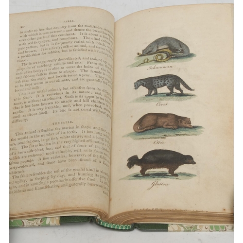 211 - Natural History - Binding, Mavor (William, LL.D.), Natural History, for the Use of Schools, and of Y... 