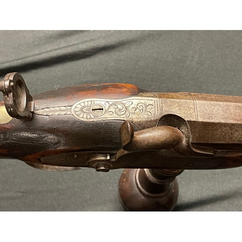 221 - 14 Bore Belgian Percussion sporting rifle. 127cm in overall length with octagonal twist barrel 775mm... 