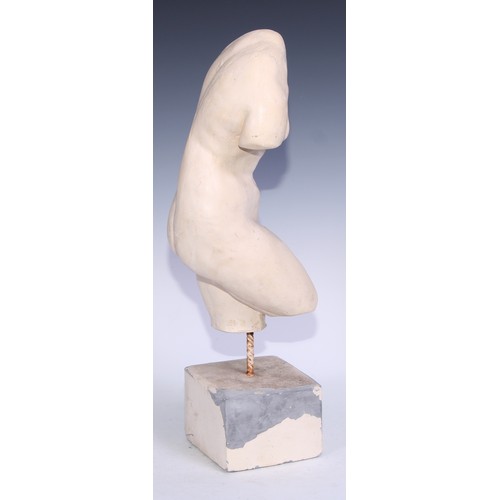 5151 - A museum type plaster model, of a torso, after the antique, mounted for display, 50cm high overall