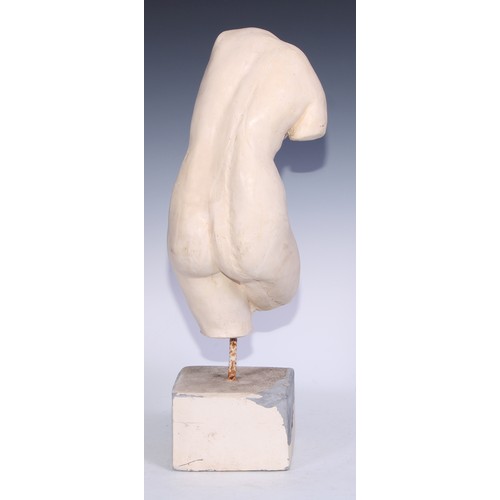 5151 - A museum type plaster model, of a torso, after the antique, mounted for display, 50cm high overall