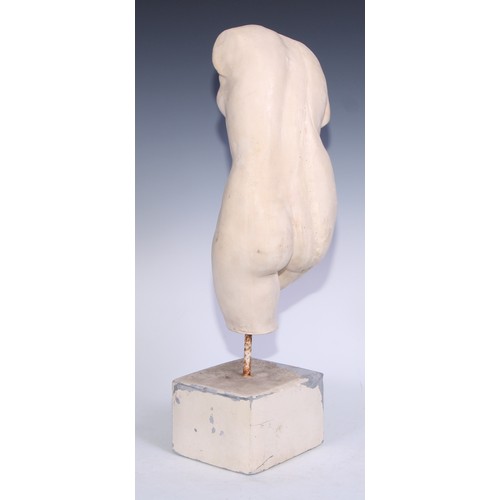 5151 - A museum type plaster model, of a torso, after the antique, mounted for display, 50cm high overall