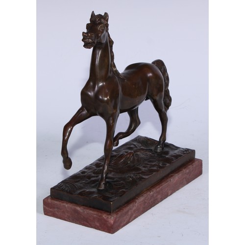 5296 - Continental School (19th century), a brown patinated bronze, of a horse, rectangular marble base, 23... 