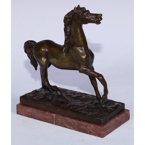 5296 - Continental School (19th century), a brown patinated bronze, of a horse, rectangular marble base, 23... 