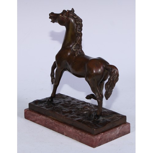 5296 - Continental School (19th century), a brown patinated bronze, of a horse, rectangular marble base, 23... 