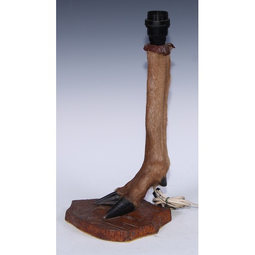 5393 - Taxidermy - a deer hoof, leg and forelock, mounted as a table lamp, rustic wood base, 42.5cm high