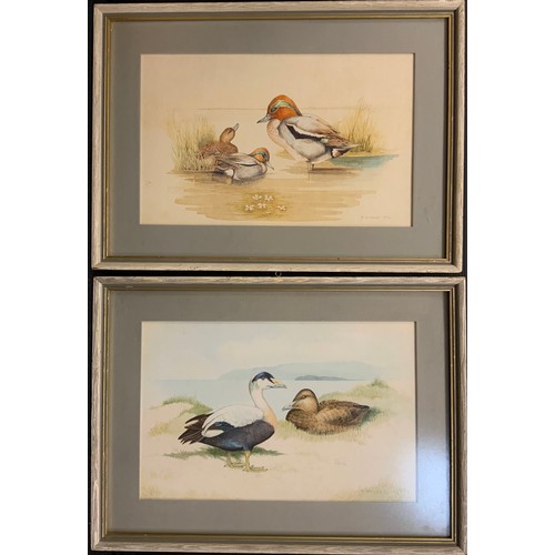 158 - R. Mackey, a pair, 'Eiders' and 'Teal', signed, dated 1977, and 1976 respectively, watercolours, eac... 