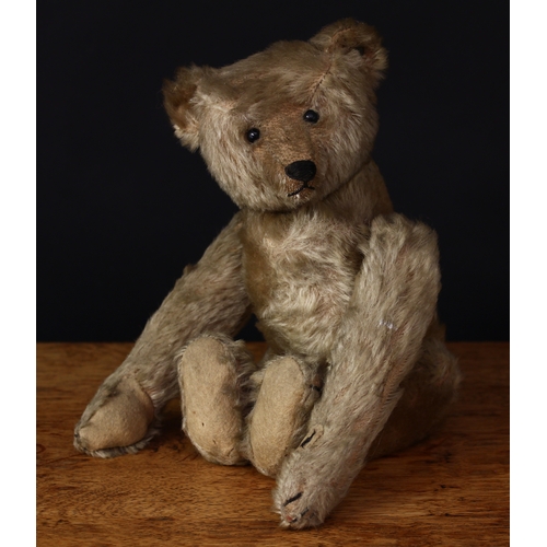 3273 - A rare Steiff (Germany) golden mohair purzelbär/somersaulting or tumbling novelty teddy bear, black ... 