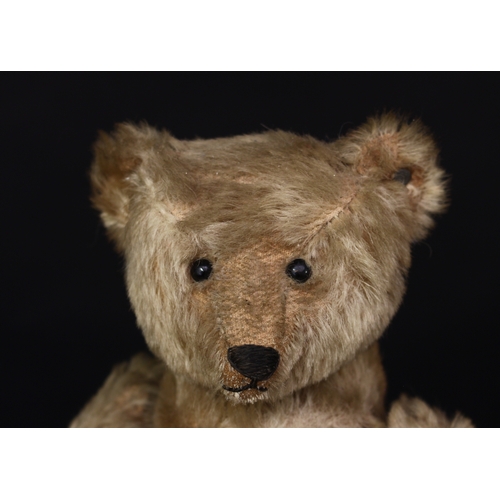3273 - A rare Steiff (Germany) golden mohair purzelbär/somersaulting or tumbling novelty teddy bear, black ... 