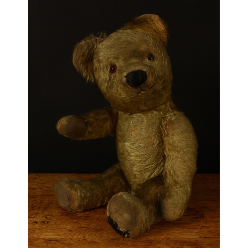 3275 - A 1930's/1940's golden mohair jointed teddy bear, amber and black glass eyes, pronounced snout with ... 