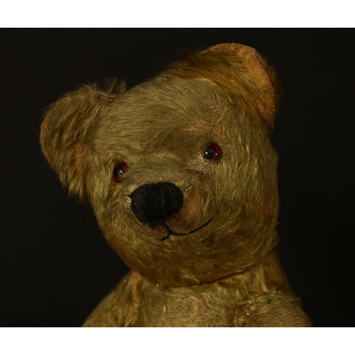 3275 - A 1930's/1940's golden mohair jointed teddy bear, amber and black glass eyes, pronounced snout with ... 