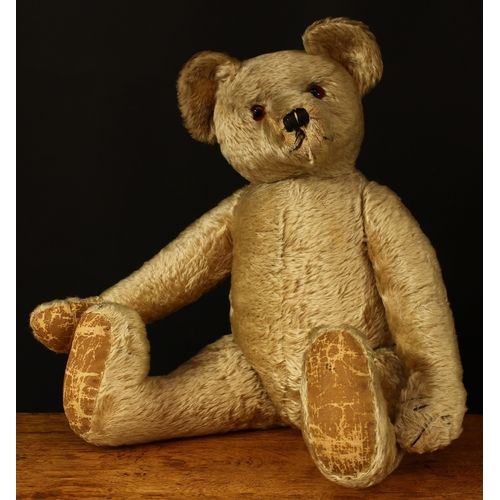 3277 - A large 1930's/1940's golden mohair jointed teddy bear, amber and black glass eyes, pronounced snout... 