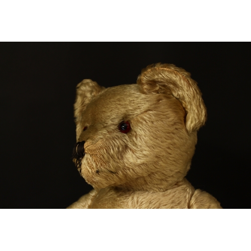 3277 - A large 1930's/1940's golden mohair jointed teddy bear, amber and black glass eyes, pronounced snout... 