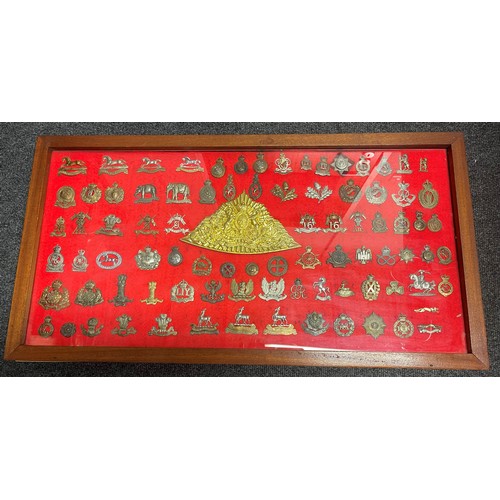 2192 - Framed collection of British Cap Badges. Mainly Cavalry / Yeomanry themed badges. Over 85 badges in ... 