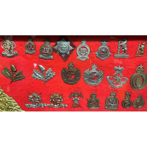 2192 - Framed collection of British Cap Badges. Mainly Cavalry / Yeomanry themed badges. Over 85 badges in ... 