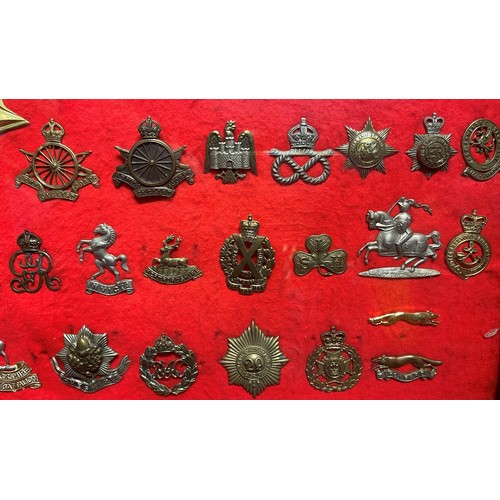 2192 - Framed collection of British Cap Badges. Mainly Cavalry / Yeomanry themed badges. Over 85 badges in ... 