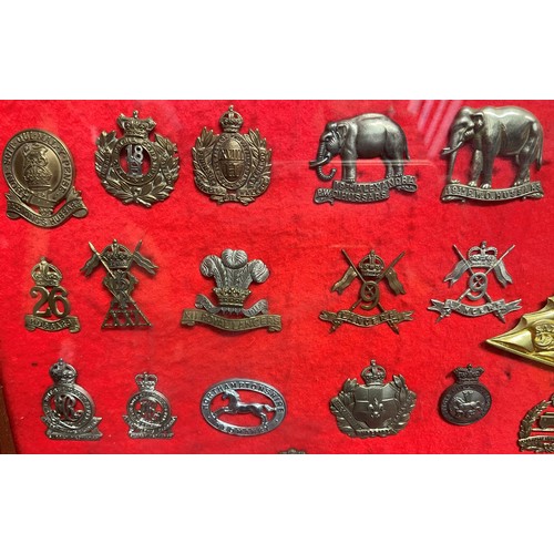 2192 - Framed collection of British Cap Badges. Mainly Cavalry / Yeomanry themed badges. Over 85 badges in ... 