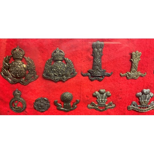 2192 - Framed collection of British Cap Badges. Mainly Cavalry / Yeomanry themed badges. Over 85 badges in ... 