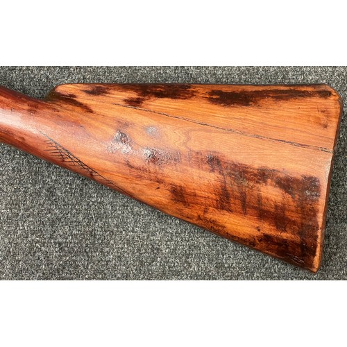 2304 - 6 Bore Percussion Cap double barrel side by side muzzle loading Punt Shotgun with 102cm long barrels... 