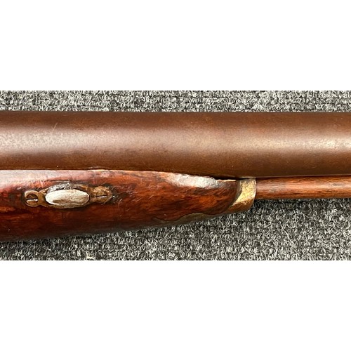 2304 - 6 Bore Percussion Cap double barrel side by side muzzle loading Punt Shotgun with 102cm long barrels... 