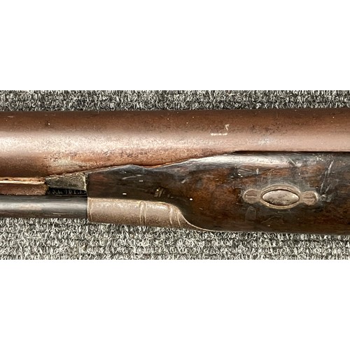 2307 - 9 Bore Percussion Cap Muzzle Loading Single Barrel Shotgun with 101cm long barrel. No makers mark or... 