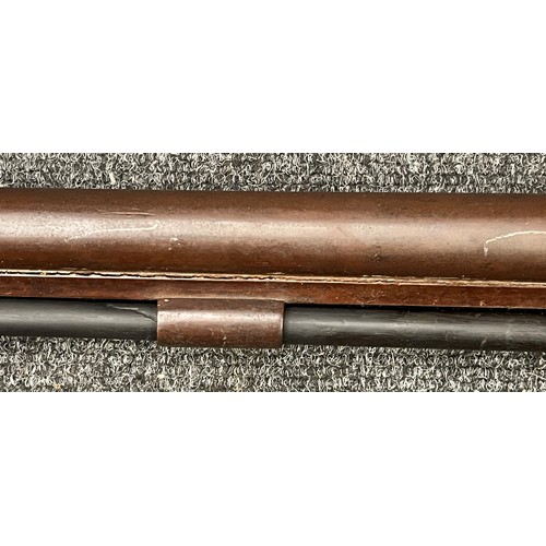 2307 - 9 Bore Percussion Cap Muzzle Loading Single Barrel Shotgun with 101cm long barrel. No makers mark or... 