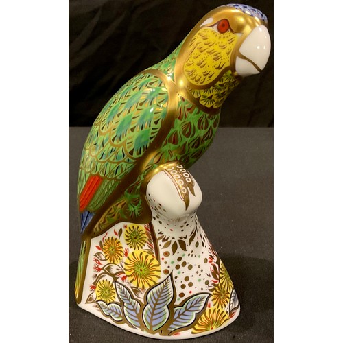 23 - A Royal Crown Derby paperweight, Amazon Green Parrot, special commission, limited edition 483/2,500,... 