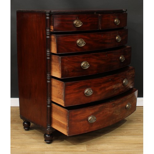 11 - A Regency mahogany bow front chest, reeded-edge top above two short and four long graduated cockbead... 