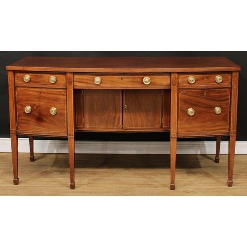 Lot 204       