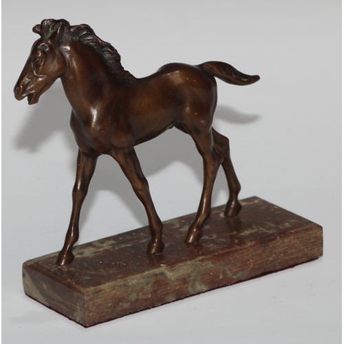 95 - Continental School (first half 20th century), a brown patinated equestrian bronze, of a foal, rectan... 