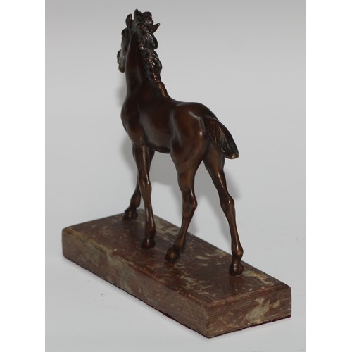 95 - Continental School (first half 20th century), a brown patinated equestrian bronze, of a foal, rectan... 