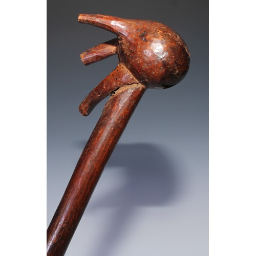 235 - Tribal Art - an African club, bulbous rootwood head, 46cm long