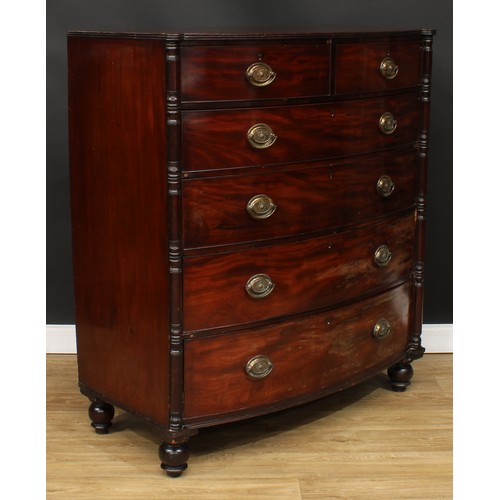 102 - A Regency mahogany bow front chest, reeded-edge top above two short and four long graduated cockbead... 