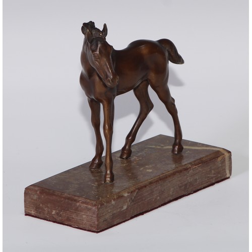 47 - Continental School (first-half 20th century), a brown patinated equestrian bronze, of a foal, rectan... 