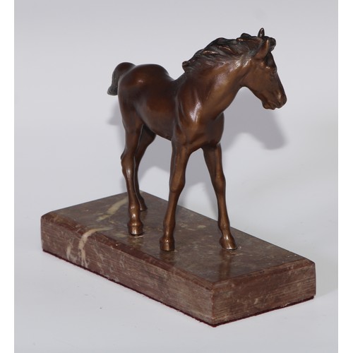 47 - Continental School (first-half 20th century), a brown patinated equestrian bronze, of a foal, rectan... 