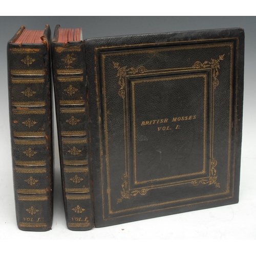 3288 - Botany - British Mosses, two-volume set of 19th century Victorian herbariums, [n.d, c. 1860], each a... 