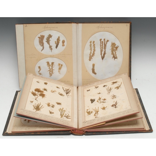 3288 - Botany - British Mosses, two-volume set of 19th century Victorian herbariums, [n.d, c. 1860], each a... 