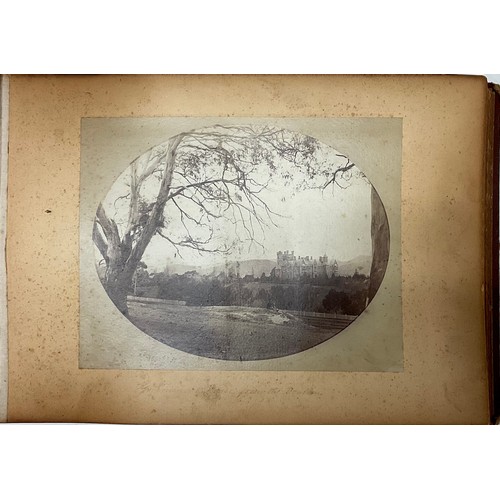 Lot 3356      
