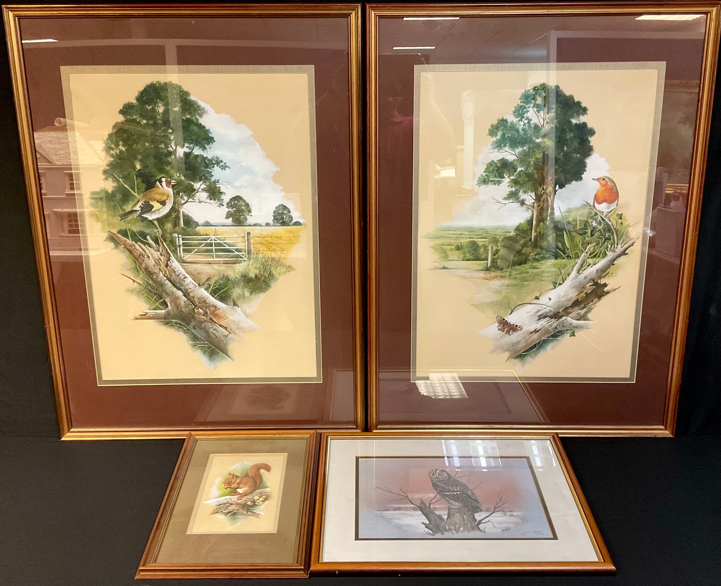 Robert Coppillie, a pair, Goldfinch and Robin in countryside setting ...